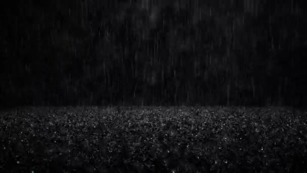 Regn — Stockvideo