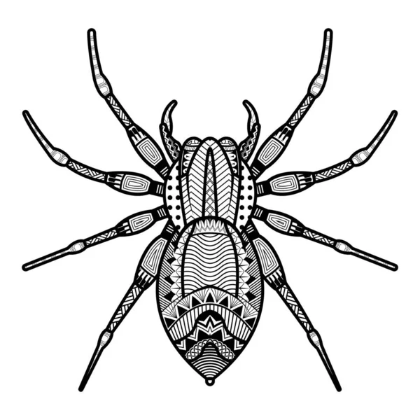 Vector Araña Ilustraciones Insectos Dibujados Mano Libro Para Colorear Negro — Vector de stock