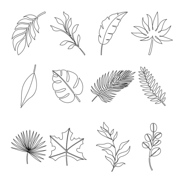 Dessin Continu Vecteur Jeu Feuilles Ligne Verte Feuille Plante Contour — Image vectorielle