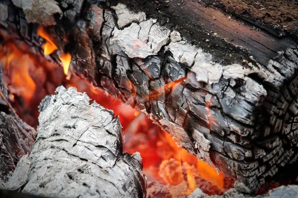 Macro vista de logs queimando durante um incêndio — Fotografia de Stock