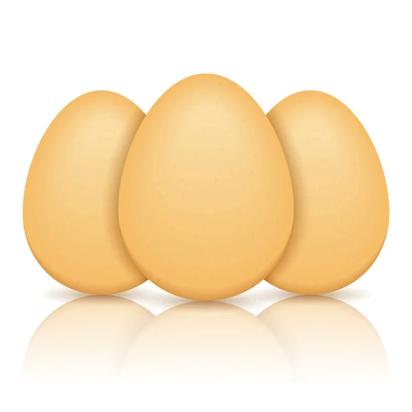 Huevos — Archivo Imágenes Vectoriales