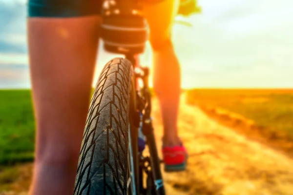 Rear view of a bicycle wheel on a country road at sunny day. Close up view of a bicycle protector. Cycling on a beautiful sunny day. Bike touring. — Stock Photo, Image