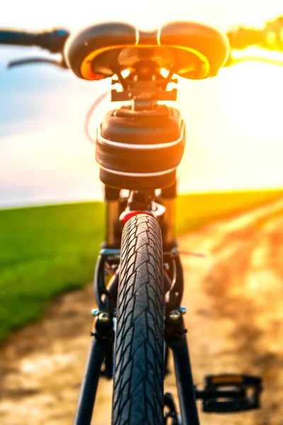 Pohled zblízka na chrániče kol. Zadní pohled na kolo na venkovské silnici za slunečného dne. Jízda na kole za krásného slunečného dne. Cykloturistika. — Stock fotografie