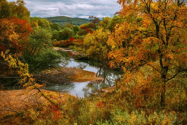 Río a principios de otoño, hojas de colores, hermoso paisaje —  Fotos de Stock