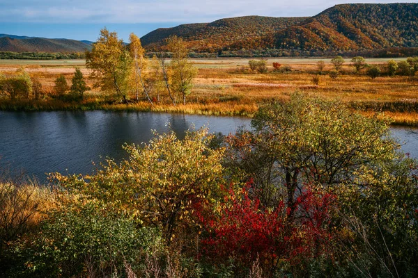 Río a principios de otoño, hojas de colores, hermoso paisaje —  Fotos de Stock