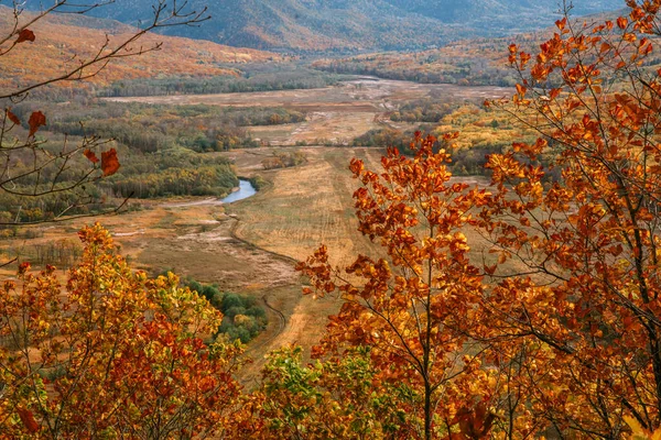 A paisagem de outono de montanha com floresta colorida — Fotografia de Stock