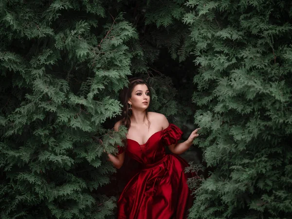 Hermosa mujer en vestido rojo caminando en el jardín lleno de rosas. Imagen de stock