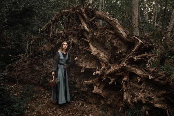 신비의 마녀가 어두운 숲 속을 걷고 있다 — 스톡 사진