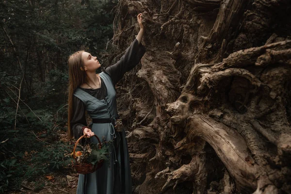 Μια μυστηριώδης μάγισσα περπατά σε ένα σκοτεινό δάσος — Φωτογραφία Αρχείου