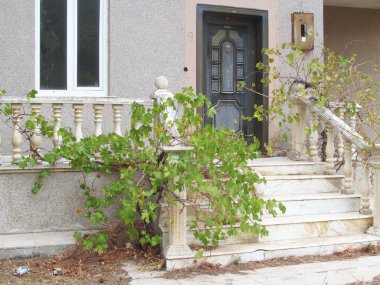 ön kapı beyaz merdiven ve üzüm ile