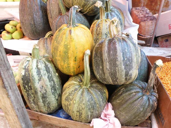 Zucche striate verdastre-giallastre su un mercato — Foto Stock