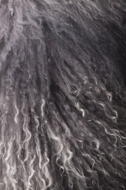 gerçek bir kürk. doku