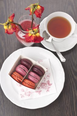 macaroons parlak renkler