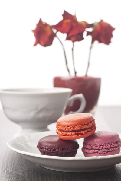 Macaroons bright colors — Stock Photo, Image
