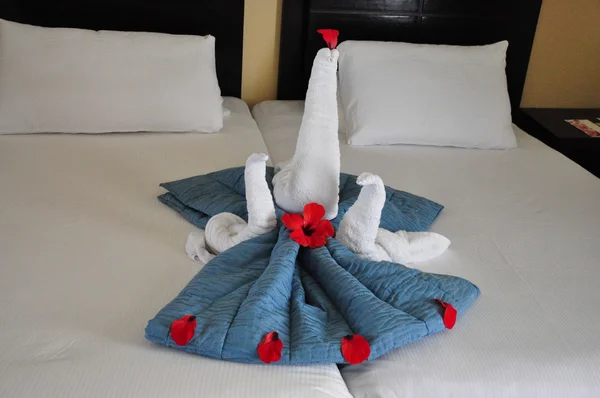 Kuğu otel