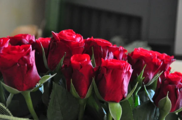 Ένα πολύ όμορφα κόκκινα τριαντάφυλλα μπουκέτο — Φωτογραφία Αρχείου