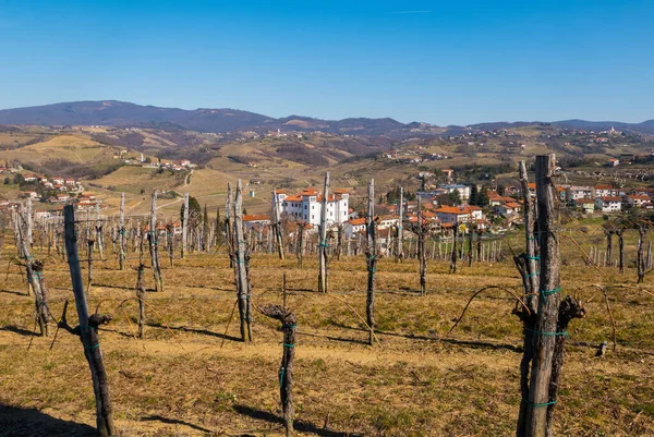 Dobrovo (Slovenya) - Arka planda Dobrovo Şatosu (XVII yüzyıl) ile Slovakya bölgesi Brda 'nın şarap üreten tepelerinin kış manzarası