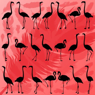 renkli flamingo bird ve tüyler siluetleri illüstrasyon col