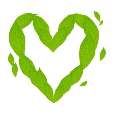 Ekoloji kavramı ile yeşil yaprakları vektör kalp