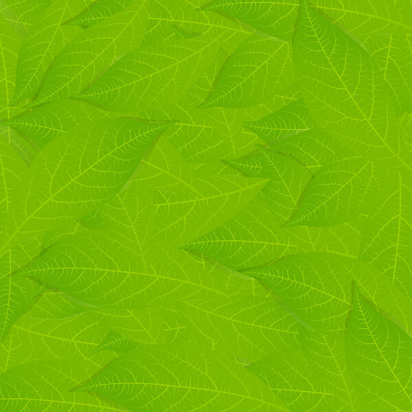 Фон-вектор зелёных листьев
