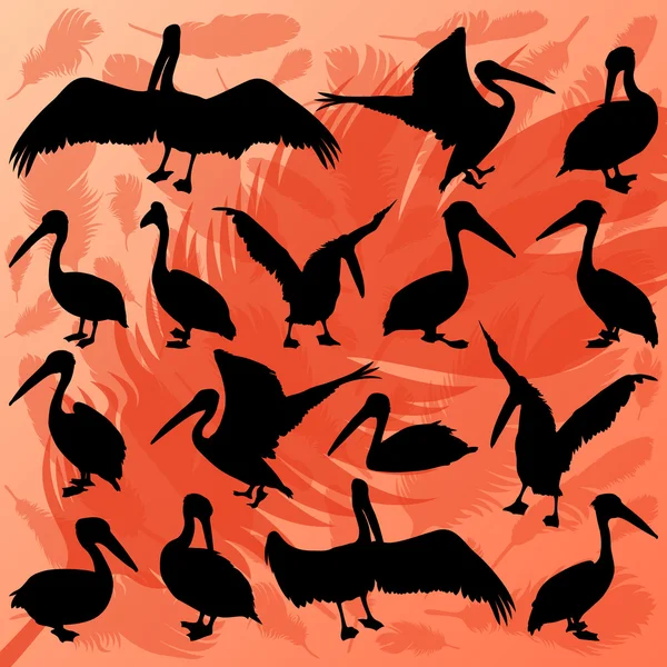 Pelikaan vogel gedetailleerde wildlife silhouetten illustratie Collect — Stockvector