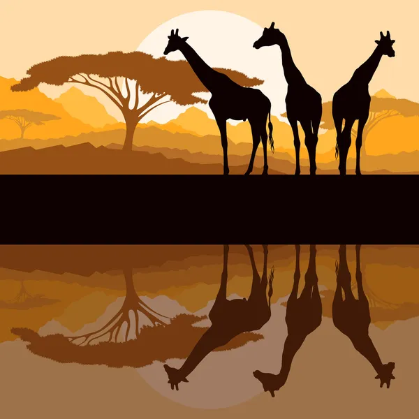 Silhouette della famiglia Giraffa in Africa natura selvaggia montagna landsc — Vettoriale Stock