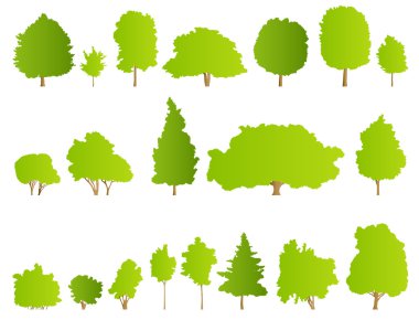 ağaçlar detaylı resim koleksiyonu arka plan