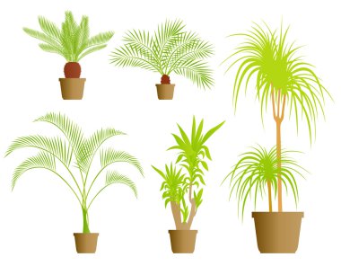House plants vector background clipart