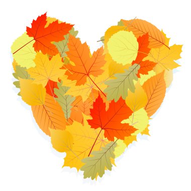 sonbahar yaprakları kalp plan vektör
