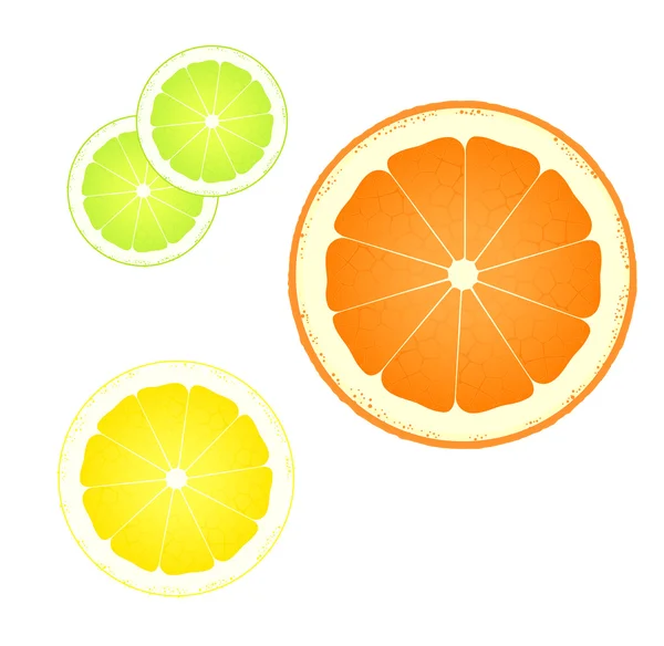 संत्रा, लिंबू आणि लिंबू गोषवारा पार्श्वभूमी — स्टॉक व्हेक्टर