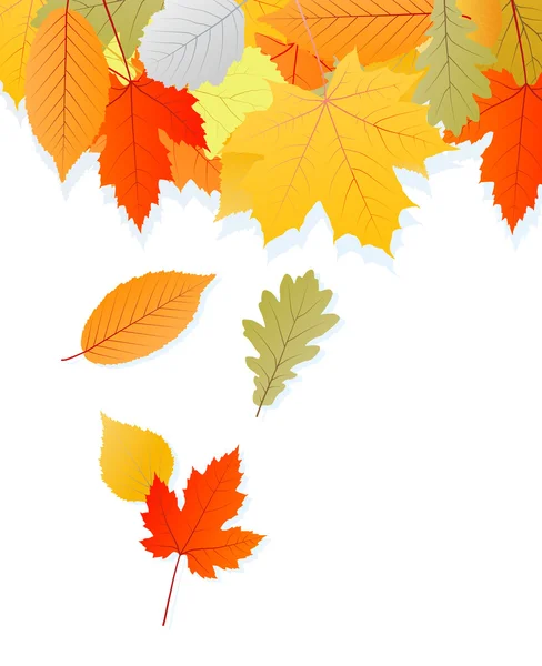 Leaves autumn vector background — Stock Vector