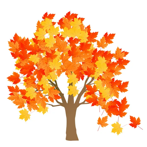 Maple tree autumn leaves background vector — Stock Vector