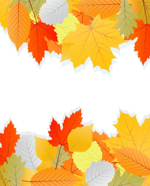 Listy podzimní vektorové pozadí — Stockový vektor