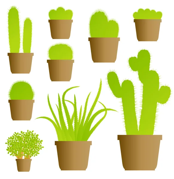 Cactus casa planta conjunto vector fondo — Vector de stock