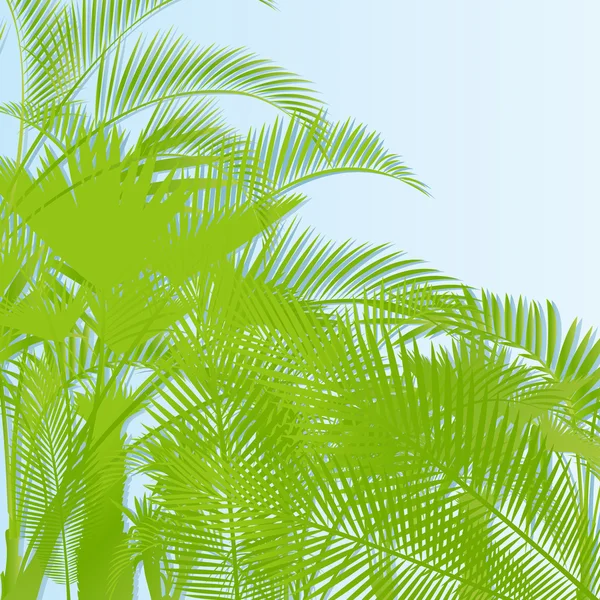 Tropical leaf regnskogen bakgrund — Stock vektor
