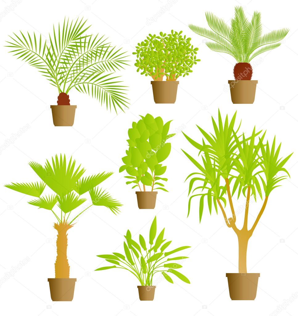 House plants vector background