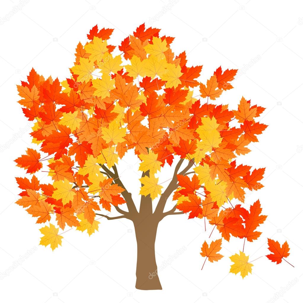 Maple tree autumn leaves background vector
