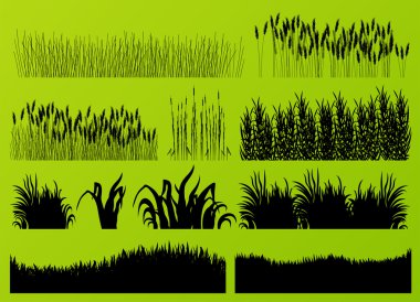 Plants, grass and flowers detailed silhouettes illustration collection background vector vector Plants, grass and flowers detailed silhouettes illustration collection background vector vector
