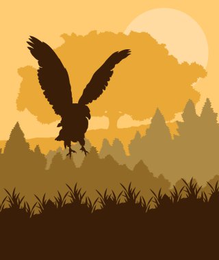 Orman vektörde saldıran Watchful kartal
