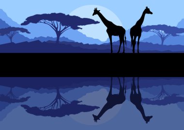 Afrika vahşi doğa dağ landsc içinde zürafa ailesi silhouettes