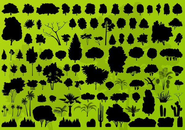 Forest trees silhouettes landscape background vector