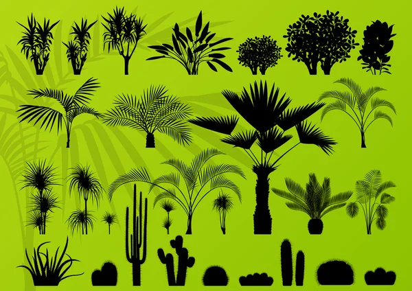 Pianta esotica, cespuglio, palma e cactus illustrazione dettagliata — Vettoriale Stock