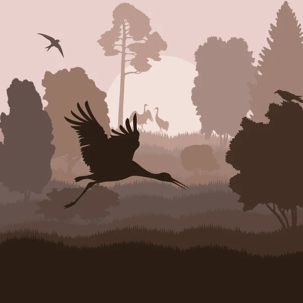 Pájaro grúa paisaje fondo vector — Vector de stock