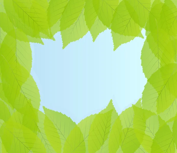 Green leaves background vector — Stock Vector