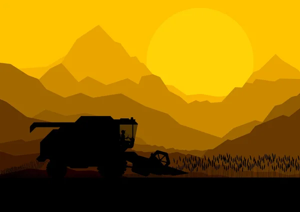 Combine el cultivo de cosecha en los campos de grano vector — Vector de stock