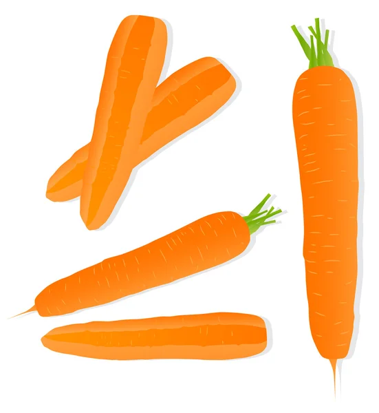 Carrot vector background ecology — Stock Vector