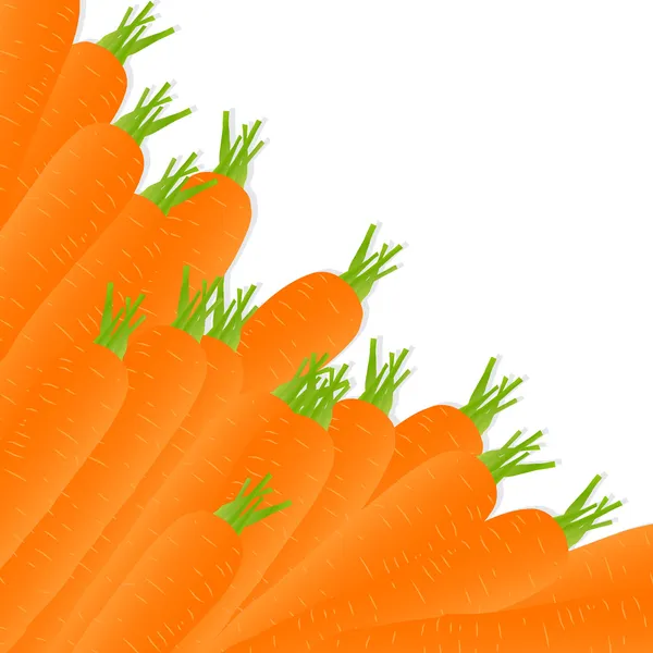 Экология моркови — стоковый вектор