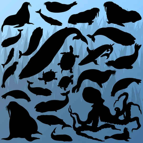 Ballena grande, pulpo, foca, león marino, tortuga y tiburón — Vector de stock