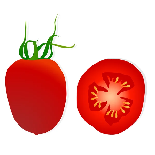 Tomate vecteur fond — Image vectorielle