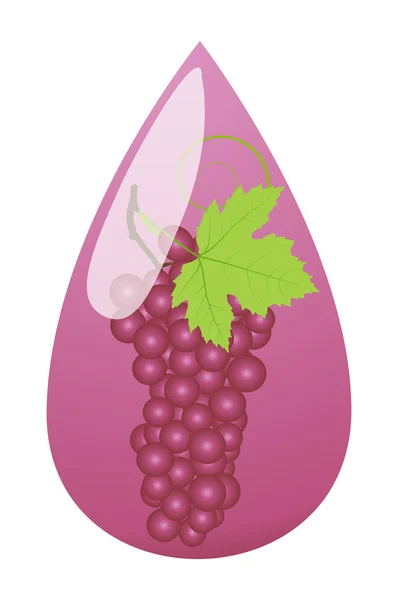 Grape juice green drop ecology concept — Stock Vector